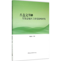 音像生态文明与欠发达地区工业化战略研究朱土兴 等 著
