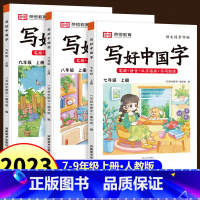 [单册]写好中国字同步字帖 七年级上 [正版]写好中国字同步练字帖七八九年级上册语文同步控笔训练字帖人教版初一初二初三7