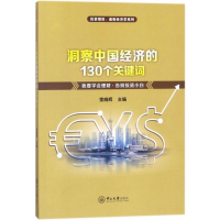 音像洞察中国经济的130个关键词索晓辉 主编