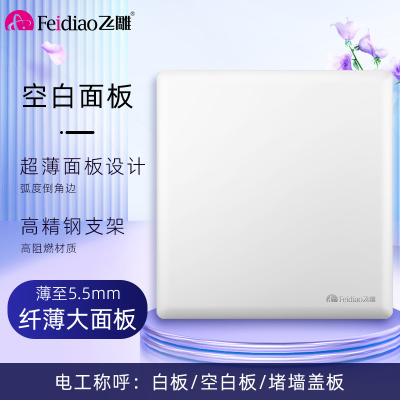 飞雕(FEIDIAO)超薄大板 开关插座格韵系列86型带开关插座面板墙壁电源插座 格韵优雅白空白面板