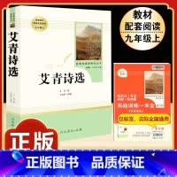 [人教版]艾青诗选 [正版]儒林外史原着吴敬梓九年级下册必读课外书人民教育出版社初三名著无障碍阅读语文书目完整版带注释批