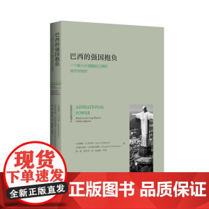 巴西的强国抱负(一个新兴之路的成功与挫折)/拉美研究经典译丛(美)戴维·R.马拉斯//哈罗德·A.特林库纳斯|译者:熊芳