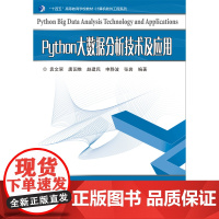 [全新正版]Python大数据分析技术及应用 袁文翠 哈尔滨工业大学出版社