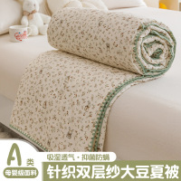 A类双层纱大豆纤维被子夏被薄款空调被儿童单人夏凉被可机洗夏季