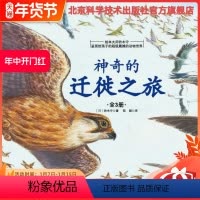 [正版]神奇的迁徙系列(绘本大师铃木守呈现给孩子的超级震撼的动物世界)