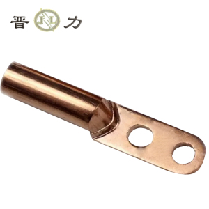 晋力 JL 线鼻子 50平方双孔 个