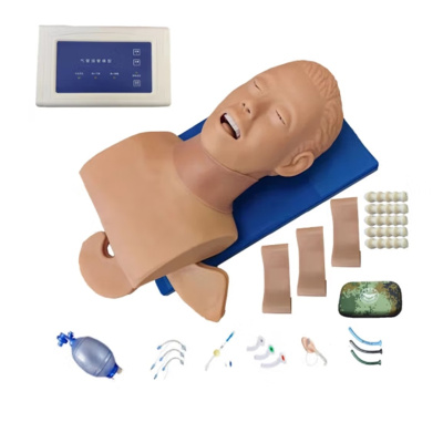 佳悦科教通高级气道管理模拟人气管插管训练模型环甲膜穿刺训练模型JY/BD005S