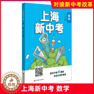 [醉染正版]2021上海新中考 数学 专项分类阶梯练 直击中考新题型 华东师范大学出版社