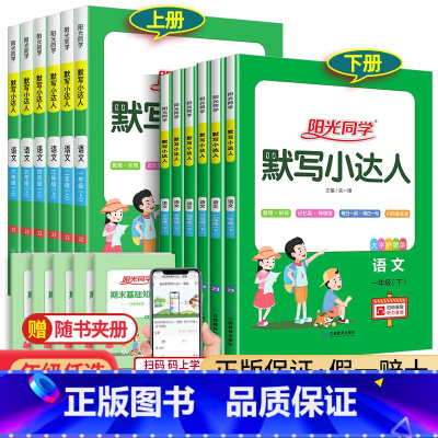 小学生作文大全[写人叙事写景] 二年级下 [正版]2023阳光同学默写小达人一二年级上册三四五六年级下册人教版小学语文专