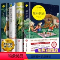 [正版]柳林风声 绿野仙踪爱丽丝漫游奇境木偶奇遇记小学生课外老师阅读书籍三四五六年级必读经典书目青少年儿童文学故事书读