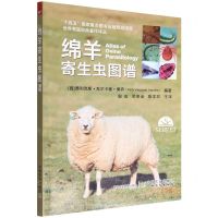 [N]绵羊寄生虫图谱/世界兽医经典著作译丛-9787109300576