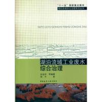 [M]湖泊流域工业废水综合治理-9787112121205