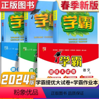 3下套装6册[学霸作业本+提优大试卷]语数英-江苏版 小学通用 [正版]2024春小学学霸提优大试卷一年级二年级上下三年