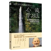 [N]心流学习法(在深度自然游戏中唤醒身心潜能)-9787552040289