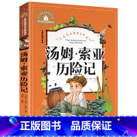 [彩图注音版]汤姆索亚历险记 [正版]稻草人书 彩图大字注音版叶圣陶书三年级的课外书带拼音故事书少儿读物儿童文学名著小学
