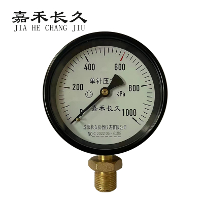 嘉禾长久/单针压力表/Y100/个
