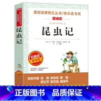 昆虫记 [正版]城南旧事 林海音原著完整版名著儿童文学三四五六年级中小学生课外书籍老师骆驼的样子小英雄雨来宝葫芦的秘密绿