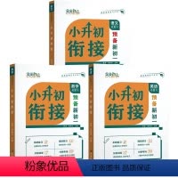 小升初衔接[预备新初一]语文+数学+英语(全3本) 小学升初中 [正版]2024新版天天向上小升初衔接预习复习语文数学英