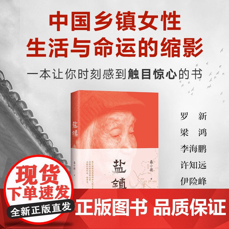 盐镇 “她们的命运里,有你所不了解的中国。”一本深度书