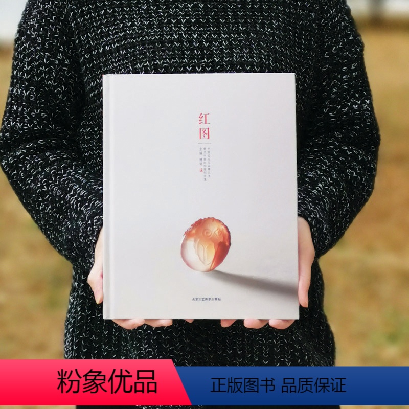 [正版]红图 中国宝玉石品牌丛书 黄文中南红玛瑙创作集 南红玛瑙鉴赏 玛瑙入门收藏鉴赏书籍 北京工艺美术出版社