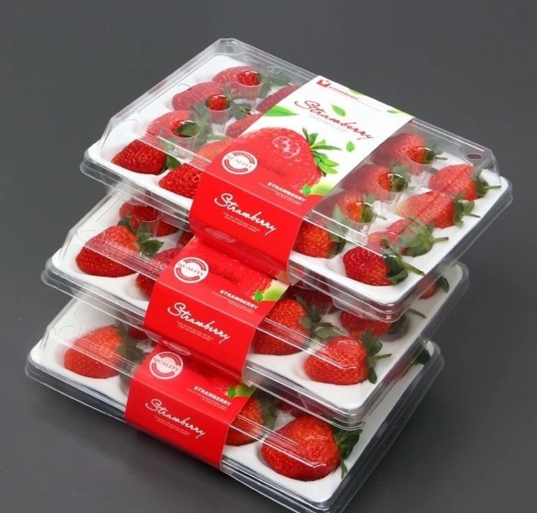 顺丰快递[苏鲜生]彩箱装 四川正宗大凉山草莓 大果 单果25g左右 净重1.2斤 (300g*2) 新鲜水果