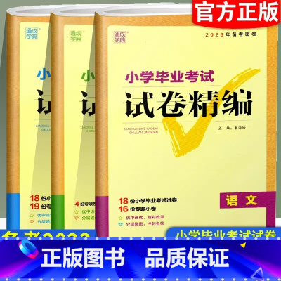 [语文]试卷精编 小学升初中 [正版]2023版小学毕业考试试卷精编语文数学英语小升初系统总复习专项训练真题模拟试卷通城