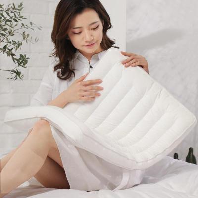 美帮汇超薄枕头家用单人整头舒适超低定型枕头大人矮枕芯平枕硬枕