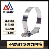中锦科技 不锈钢T型强力喉箍直径60mm [T型强力]个