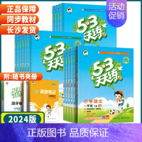 数学 人教版 一年级上 [正版]湖南2024秋季53天天练一二年级三年级四五六年级下册语文数学英语人教苏教外研湘少版小学