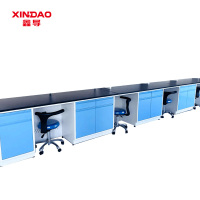 鑫导 实验室工作台 SYT101-钢木边台定制 米