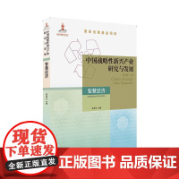 机工 中国战略性新兴产业研究与发展·智慧经济 孙泽红
