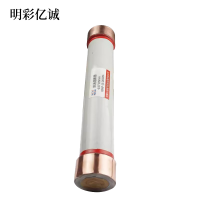 明彩亿诚 限流熔断器 Φ25*195mm XRNP-10 2A50KA 根