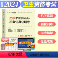 [正版]主管护师2024年人民医学网护理学中级仿真押题必刷卷全国卫生专业技术资格考试用书必刷题人卫版丁震中级内科外科妇