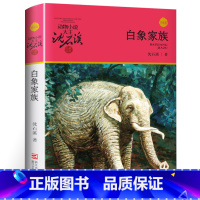 白象家族 [正版]沈石溪动物小说品藏书系列全集36册 斑羚飞渡第七条猎狗后一头战象雪豹悲歌珍藏版全套画本生肖
