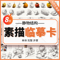 [正版图书]素描静物结构临摹卡8K卡片高清精微石膏画单体组合图片教程结构国美初级学照片书籍基础入门画册本教材书教学美术绘