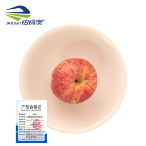 铂锜澳 白色陶瓷斗碗10个装/件