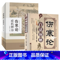 [正版]伤寒论症机辨治+伤寒论白话图解 全2册医学图书中医书 伤寒论伤寒症机表症里症虚症实症恶风寒汗出 中医基础经典书