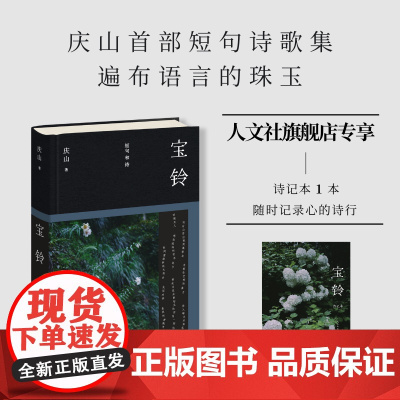 宝铃庆山著安妮宝贝全新短句诗歌集心灵成长男女爱情原生家庭亲子教育代际关系阅读心得终极幸福写作经验店长