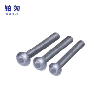 铂灳 半圆头铆钉 20*55mm 个