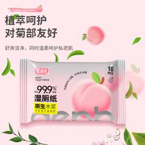 爱恩倍 湿厕巾10片启封装*10包