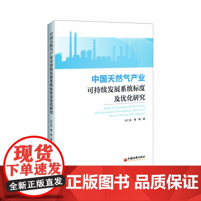 中国天然气产业可持续发展系统标度及优化研究