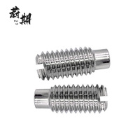 蔚期 GB72不锈钢开槽锥端定位螺钉 M8*35 个