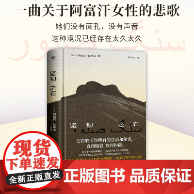 坚韧之石(一曲关于阿富汗女性的悲歌,《追风筝的人》作者胡赛尼作序,诺奖提名作家拉希米力作)