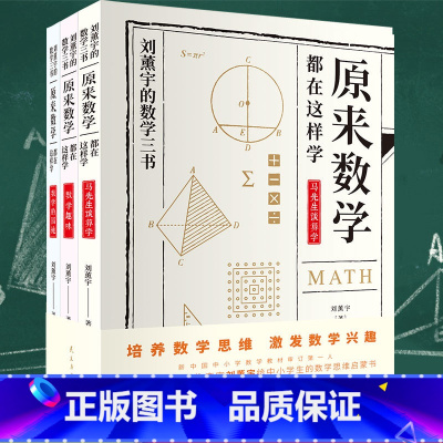 [正版]全3册 原来数学可以这样学 给孩子的数学三书 刘薰宇 数学三书小学 数学趣味数学的园地 中小学数学思维书籍