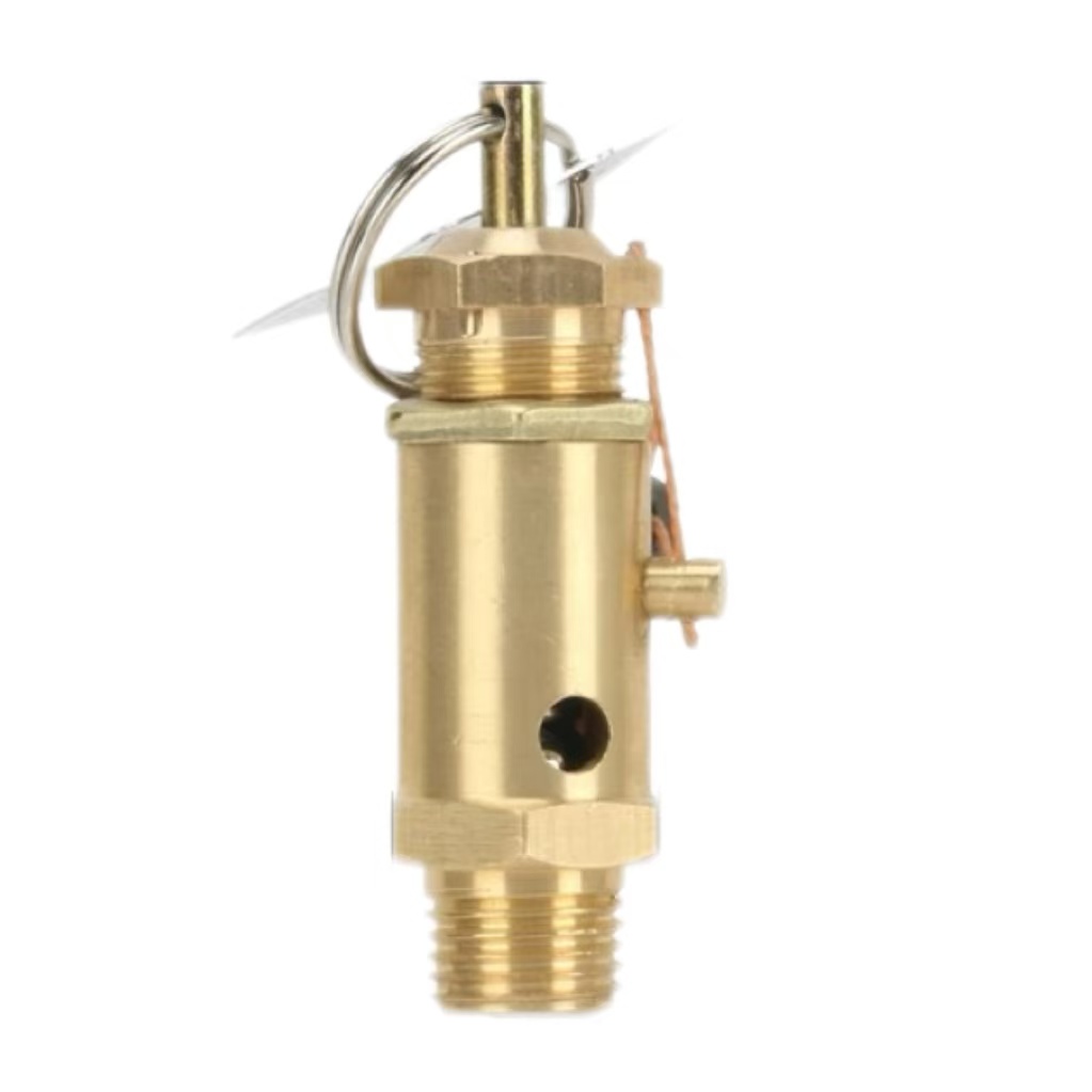 盛京联硕 安全阀 A28X-16T弹簧式安全阀 DN8[2分] 个