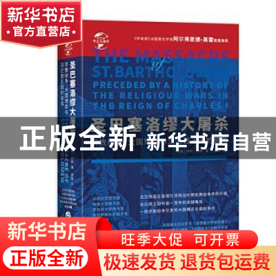 正版 圣巴塞洛缪大屠杀(宗教纷争大国博弈与法兰西王国的衰落)(精