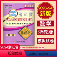 中考数学 浙江省 [正版]2024孟建平浙江省各地中考模拟试卷精选数学 初三总复习资料真题模拟测试卷 2023-2024