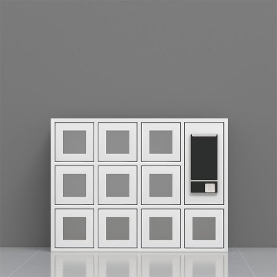 臻远ZY4031501 智能手机柜存放柜手机设备寄存柜 10门