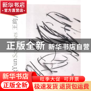 正版 划痕 王昀[著] 中国电力出版社 9787519812423 书籍