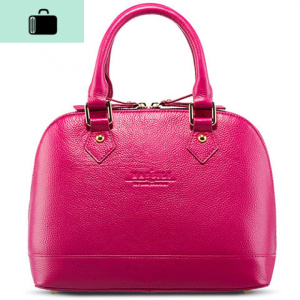 小包包女2019新款荔枝纹贝壳包百搭斜挎单肩包洋气质感手提女包NEW LAKE女士单肩包